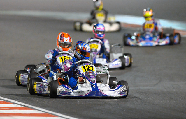 Equipe de France FFSA Karting: bilan 2013 et perspectives 2014