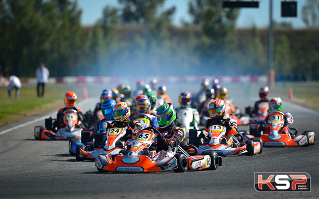 Rotax Max Muret Finale 1: avantage Renaudin