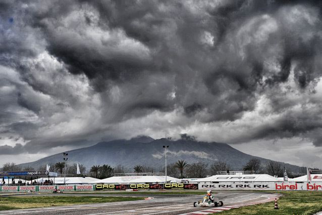 A strange epidemic decimates the paddock at Sarno