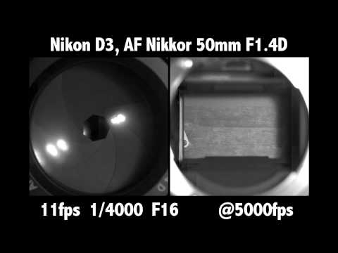 Vidéo: Nikon D3 à haute vitesse