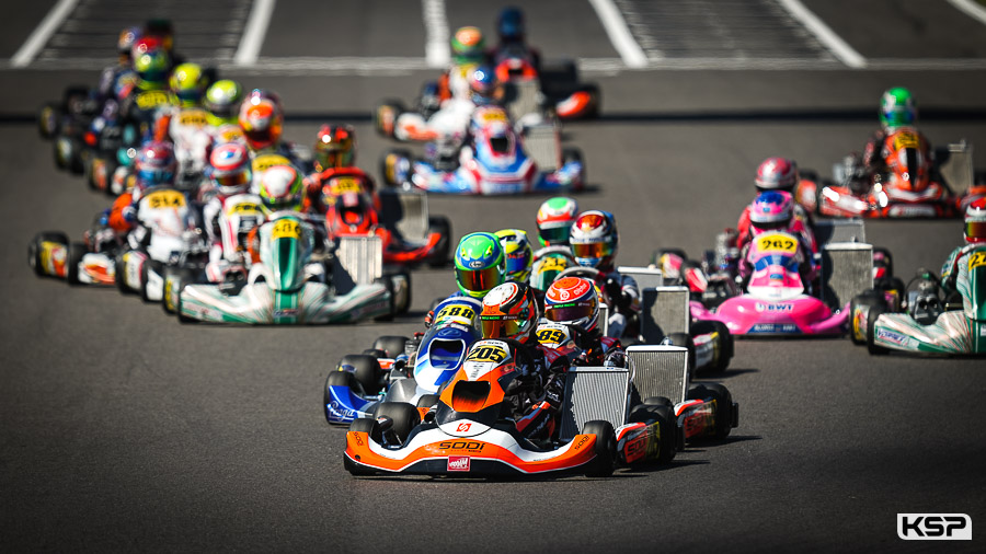 Sodikart takes podium after podium in European Championship